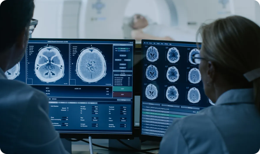 뇌출혈 이미지 라벨링